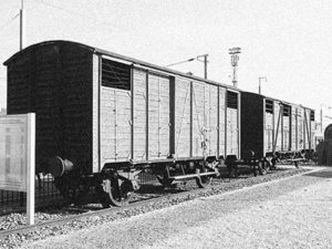 Des wagons à bestiaux comme ceux qui convoyèrent les déportés vers les camps